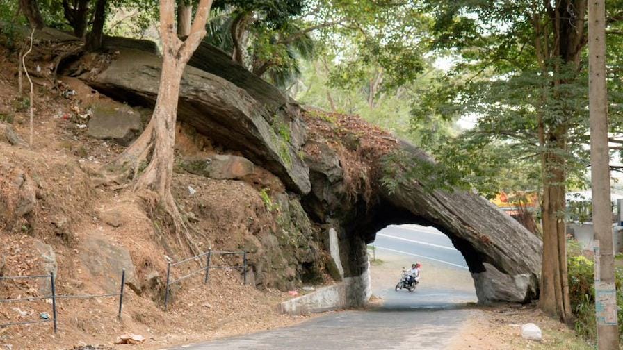 Ranasinghe tree arch over road